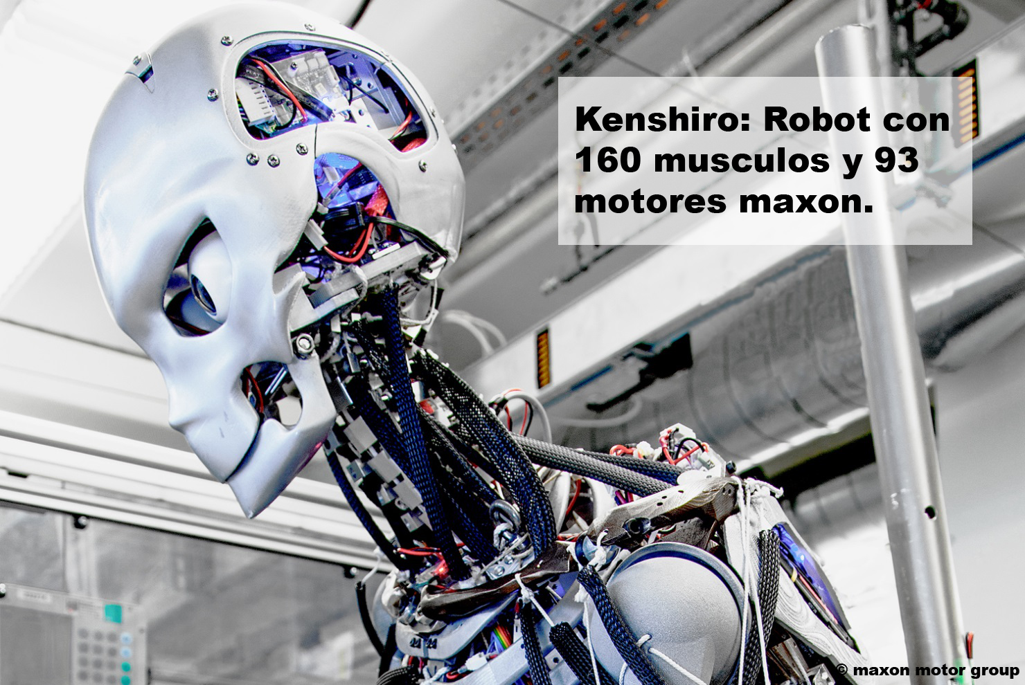 Motor dc en robot Kenshiro